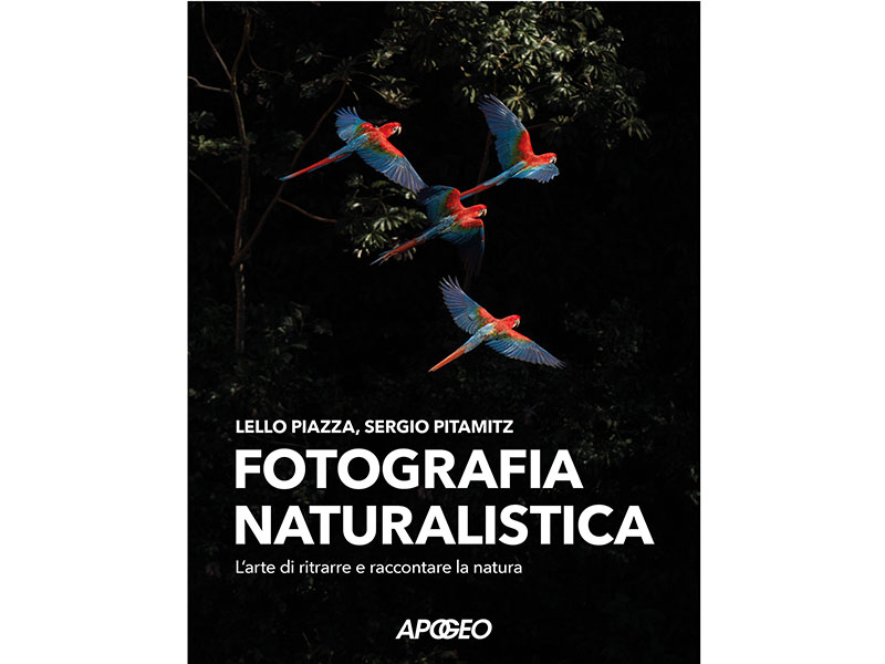 Fotografia naturalistica